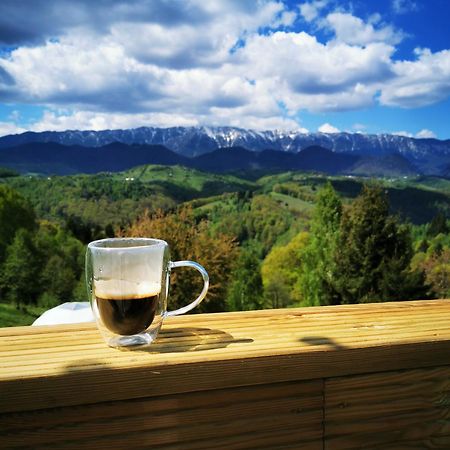 Drumu Carului Glamping Zazen酒店 外观 照片