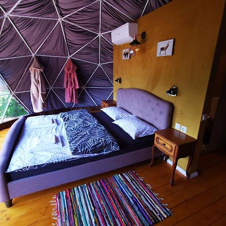 Drumu Carului Glamping Zazen酒店 外观 照片
