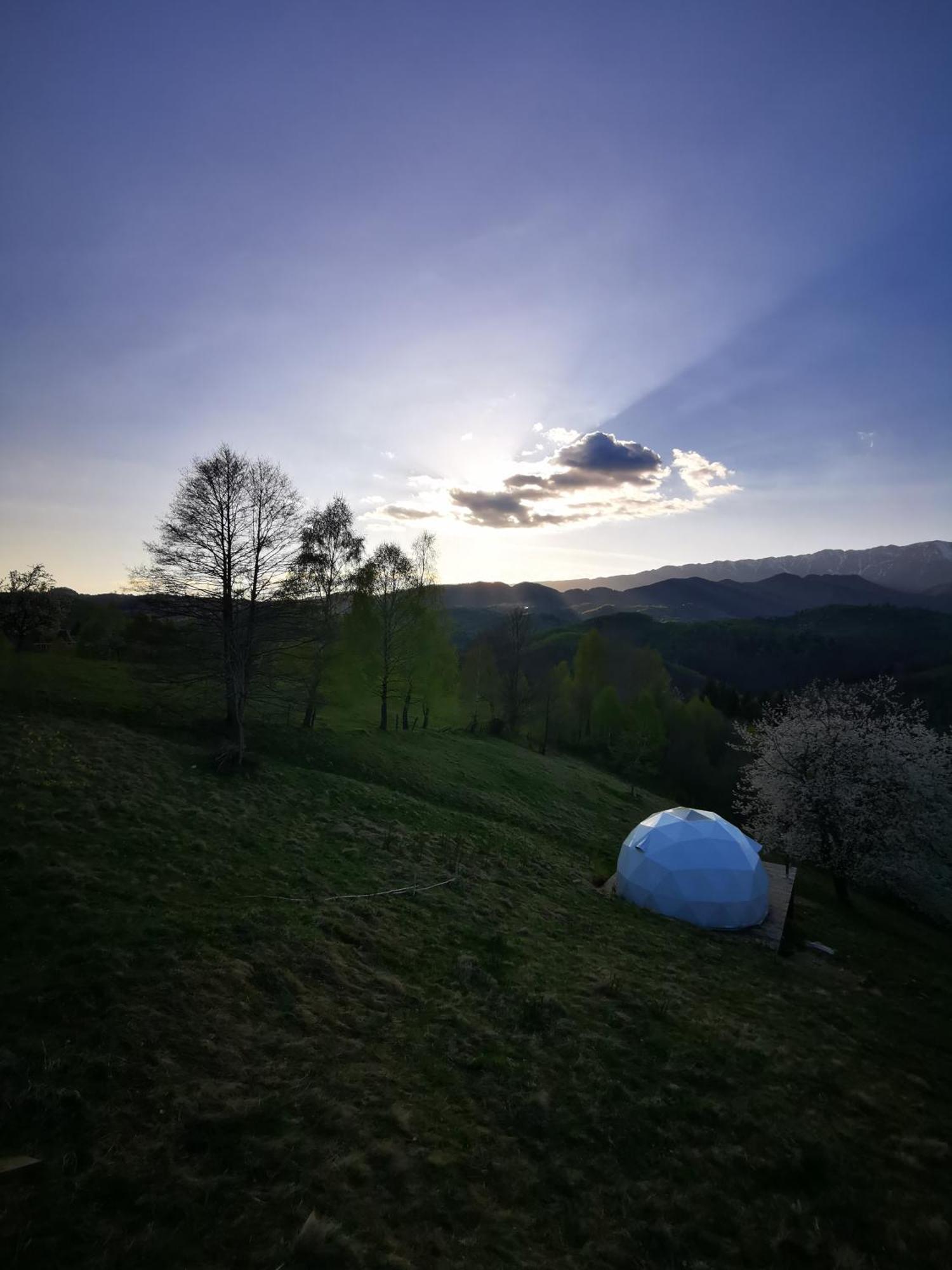 Drumu Carului Glamping Zazen酒店 外观 照片