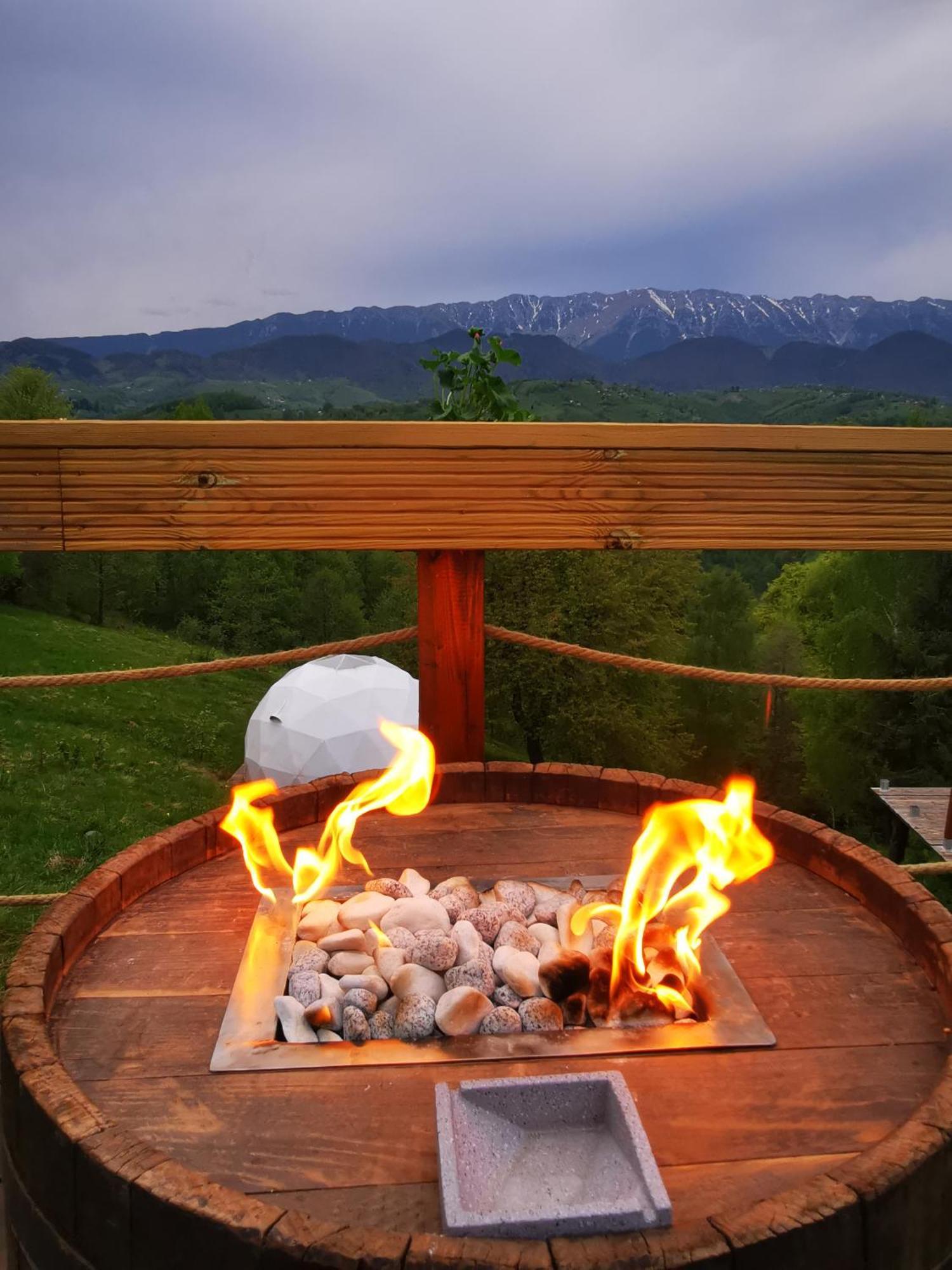 Drumu Carului Glamping Zazen酒店 外观 照片