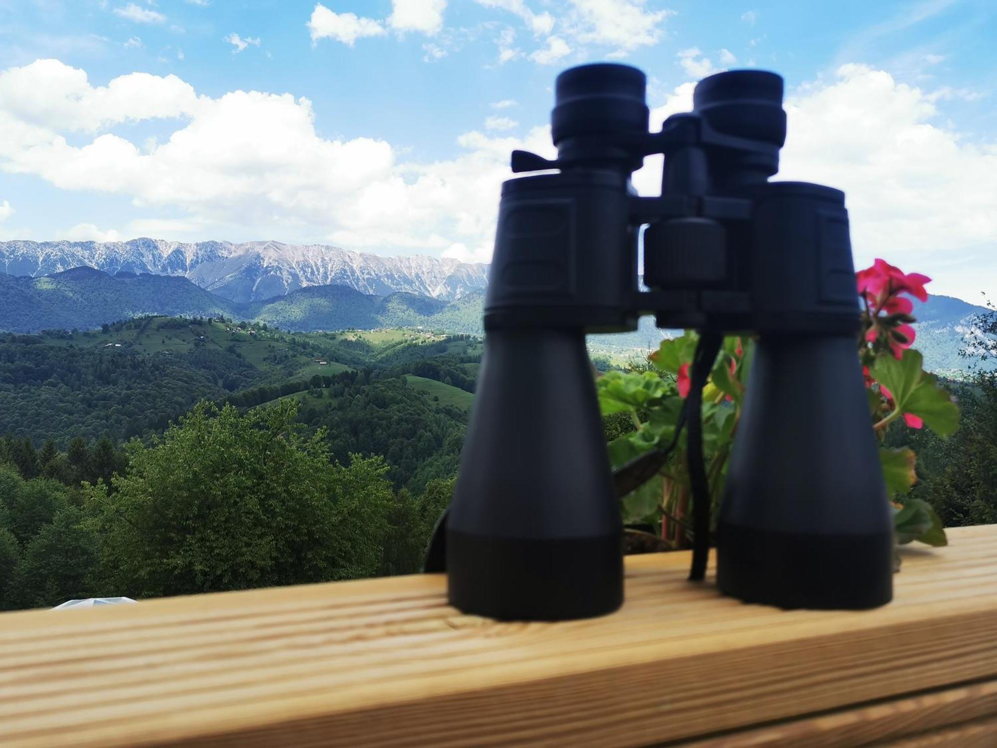 Drumu Carului Glamping Zazen酒店 外观 照片