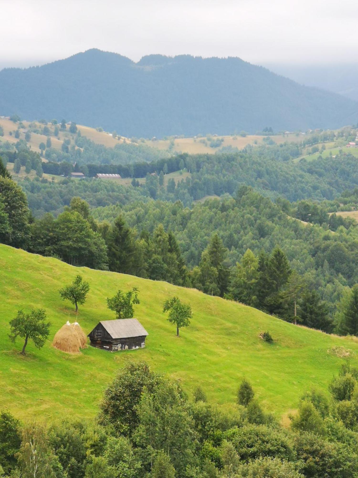 Drumu Carului Glamping Zazen酒店 外观 照片