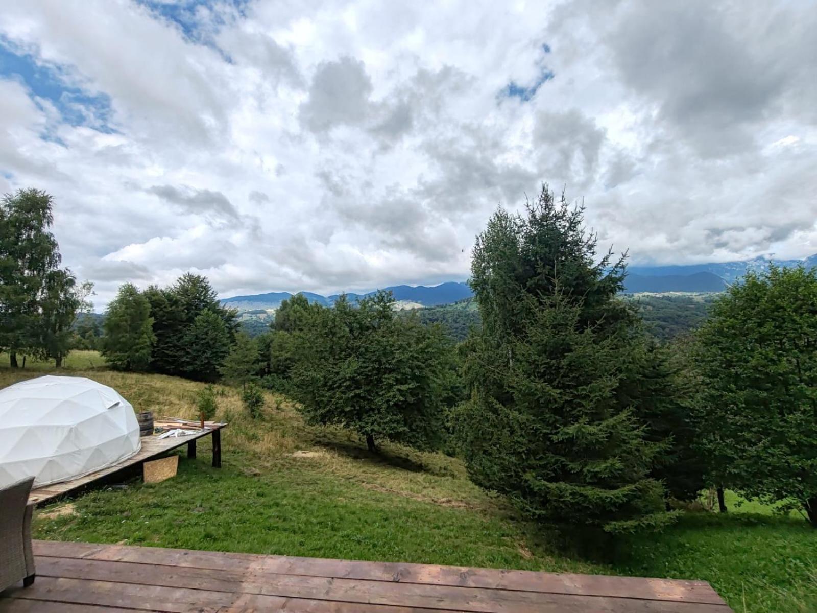 Drumu Carului Glamping Zazen酒店 外观 照片